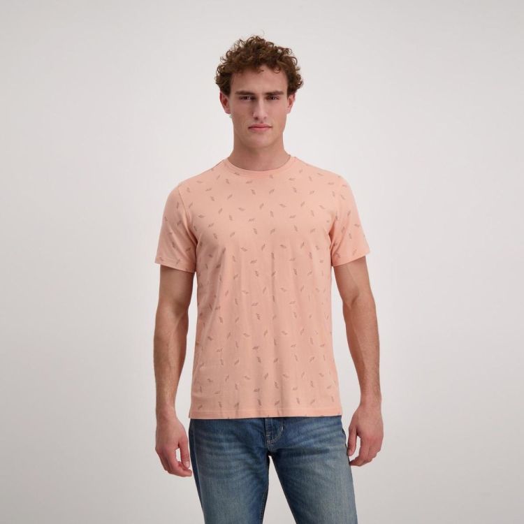 CARS Jeans ISPICA TS Peach (6986331) - Bluesand New&Outlet 