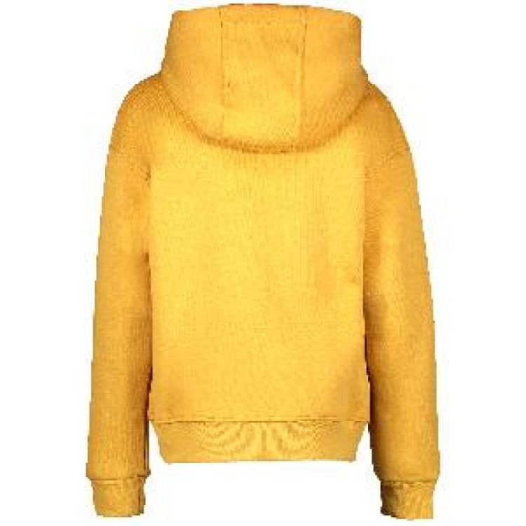 CARS Jeans KIDS GRAZIA HOOD SW JAUNE (3067930) - Bluesand New&Outlet 