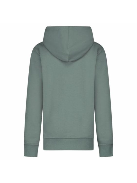 CARS Jeans Kids TYLO SW Hood Moss (2089744) - Bluesand New&Outlet 
