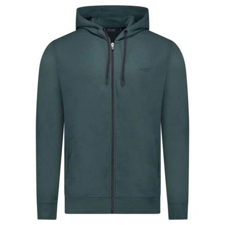 CARS Jeans RAYER Zip Hood Moss (4529544) - Bluesand New&Outlet 