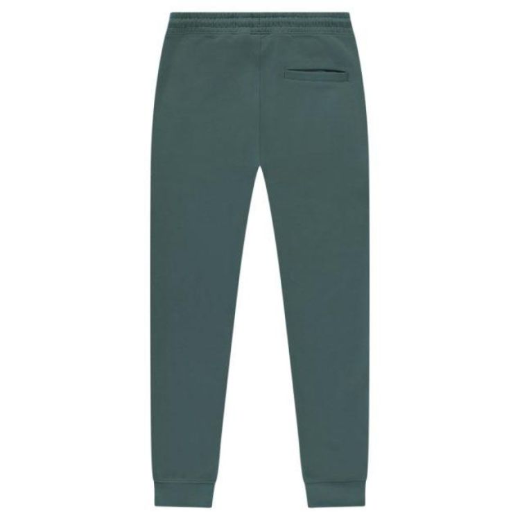 CARS Jeans NOZAM SW Pant Moss (4559544) - Bluesand New&Outlet 