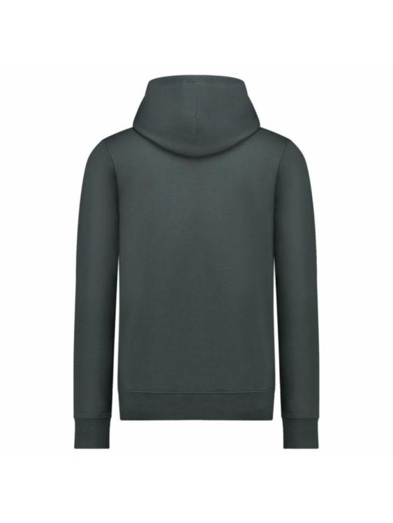 CARS Jeans TYLO SW Hood Moss (6089744) - Bluesand New&Outlet 