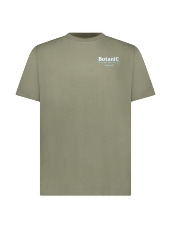 CARS Jeans RITZO TS Backprint Moss (6237144) - Bluesand New&Outlet 