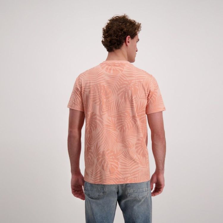 CARS Jeans STOPPERS TS Peach (6236331) - Bluesand New&Outlet 