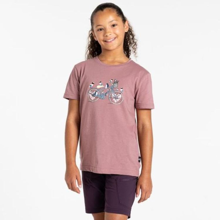 Dare2b TrailblazerIITee (DKT451) - Bluesand New&Outlet 