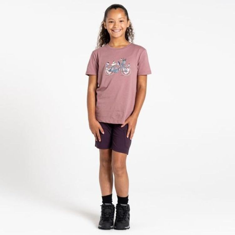 Dare2b TrailblazerIITee (DKT451) - Bluesand New&Outlet 