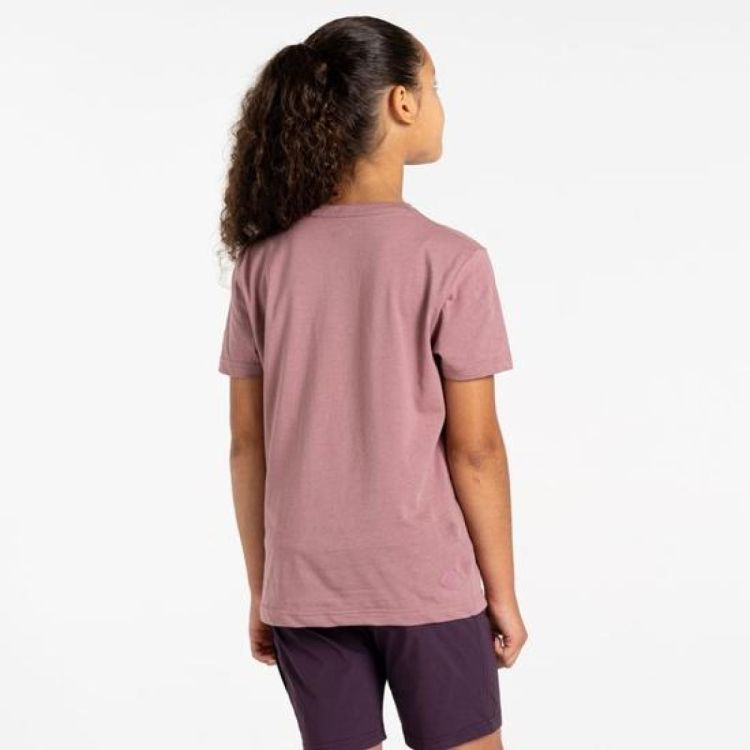 Dare2b TrailblazerIITee (DKT451) - Bluesand New&Outlet 