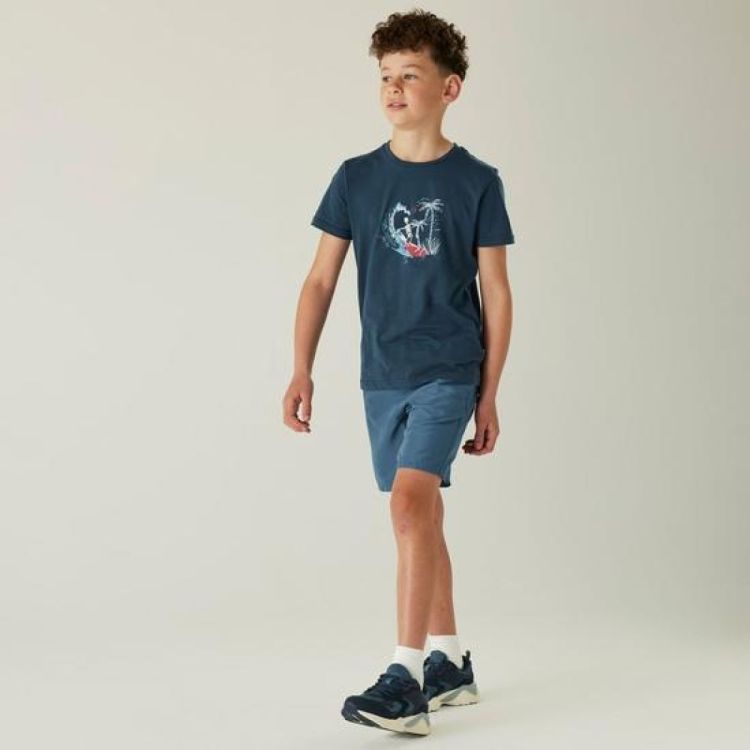 Dare2b TrailblazerIITee (DKT451) - Bluesand New&Outlet 