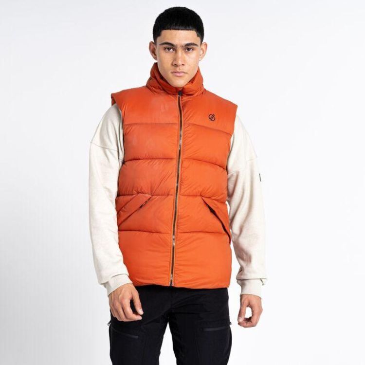 Dare2b Mentor Gilet (DMN407) - Bluesand New&Outlet 