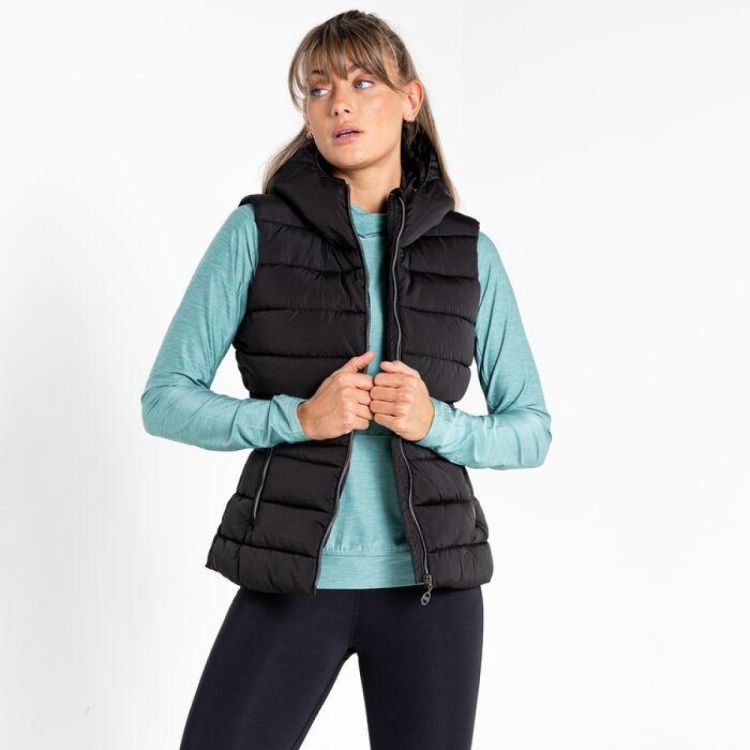 Dare2b Reputable Gilet (DWN403) - Bluesand New&Outlet 