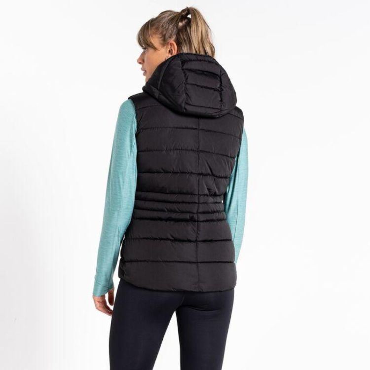 Dare2b Reputable Gilet (DWN403) - Bluesand New&Outlet 