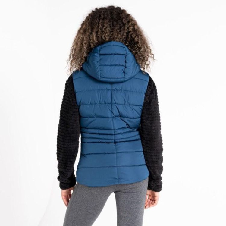 Dare2b Reputable Gilet (DWN403) - Bluesand New&Outlet 