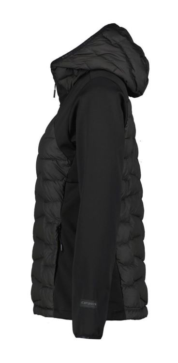 Icepeak ICEPEAK BURLISON (54907) - Bluesand New&Outlet 