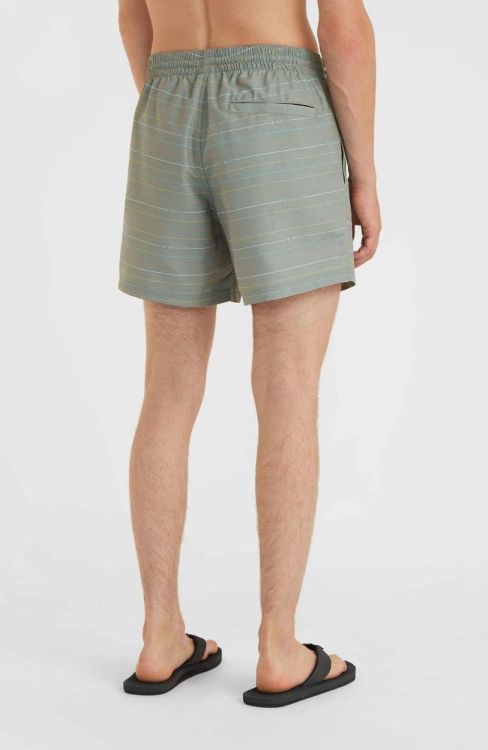 O'neill JACK O'NEILL CALI FIRST 15'' SWIM SHORTS (2800144) - Bluesand New&Outlet 