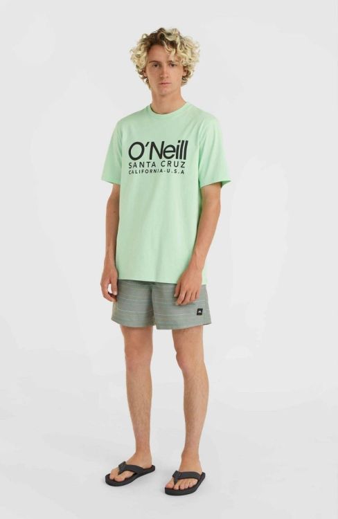 O'neill JACK O'NEILL CALI FIRST 15'' SWIM SHORTS (2800144) - Bluesand New&Outlet 