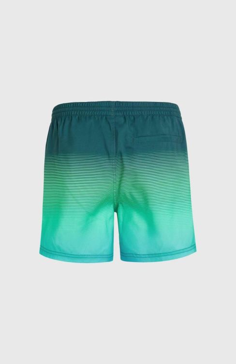 O'neill JACK O'NEILL CALI GRADIENT 15'' SWIM SHO (2800133) - Bluesand New&Outlet 