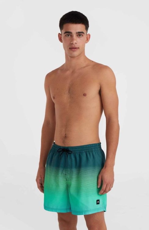 O'neill JACK O'NEILL CALI GRADIENT 15'' SWIM SHO (2800133) - Bluesand New&Outlet 