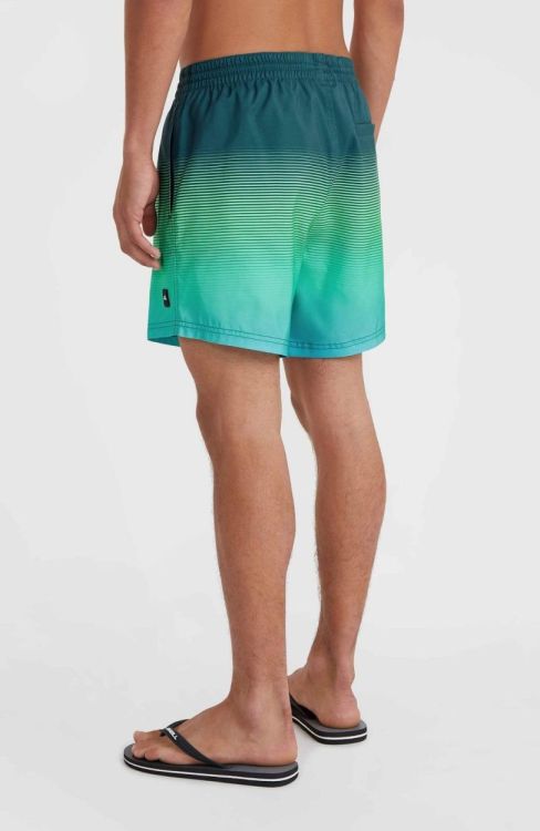 O'neill JACK O'NEILL CALI GRADIENT 15'' SWIM SHO (2800133) - Bluesand New&Outlet 