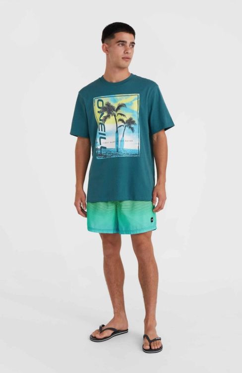 O'neill JACK O'NEILL CALI GRADIENT 15'' SWIM SHO (2800133) - Bluesand New&Outlet 