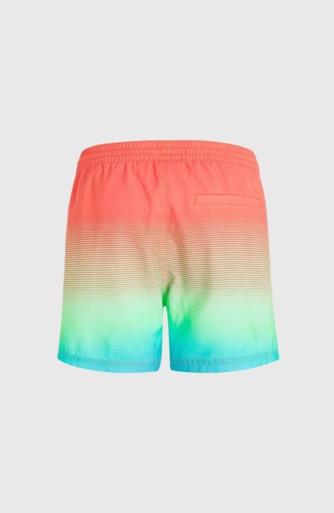 O'neill JACK O'NEILL CALI GRADIENT 15'' SWIM SHO (2800133) - Bluesand New&Outlet 