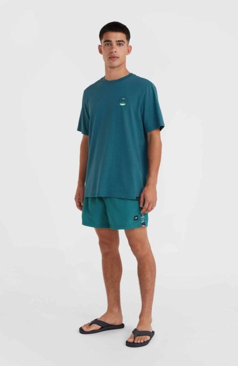 O'neill JACK O'NEILL VERT RETRO 14'' SWIM SHORTS (2800141) - Bluesand New&Outlet 
