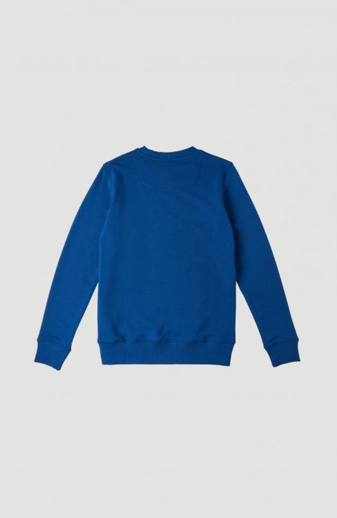 O'neill All Year Crew Sweatshirt (1P1496) - Bluesand New&Outlet 