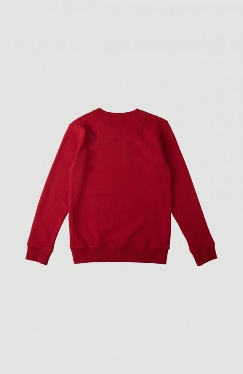 O'neill All Year Crew Sweatshirt (1P1496) - Bluesand New&Outlet 