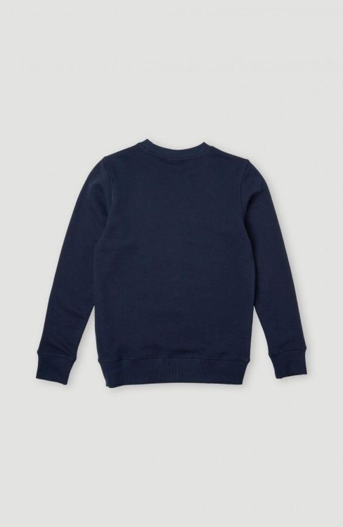 O'neill ALL YEAR CREW SWEATSHIRT (4750008) - Bluesand New&Outlet 