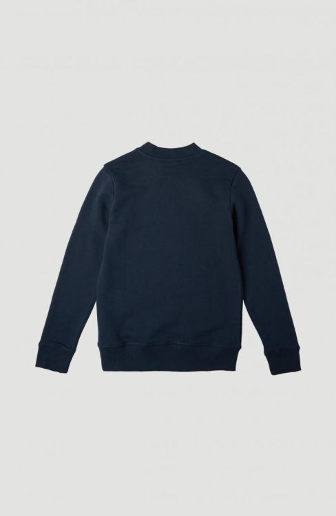 O'neill All Year Crew Sweatshirt (1P6499) - Bluesand New&Outlet 