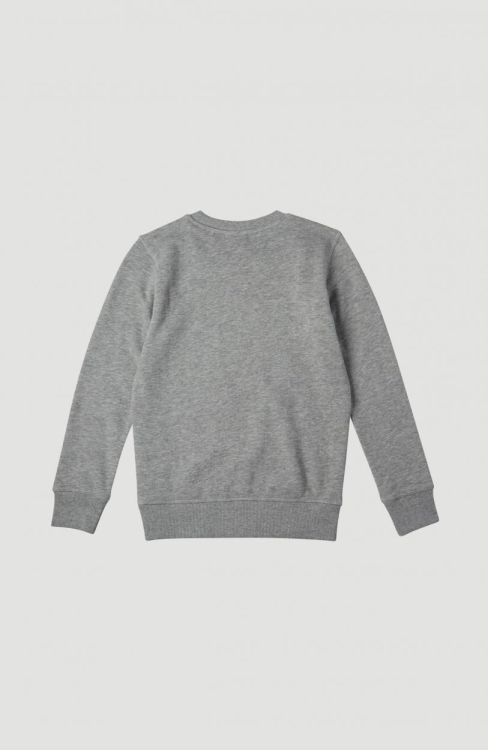 O'neill All Year Crew Sweatshirt (1P1496) - Bluesand New&Outlet 