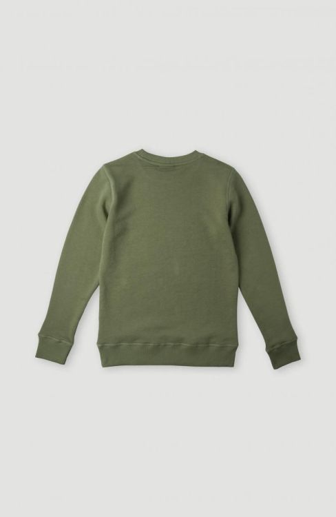 O'neill ALL YEAR CREW SWEATSHIRT (4750008) - Bluesand New&Outlet 