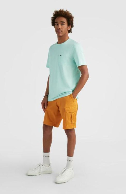 O'neill Beach Break Cargo Shorts (N2700000) - Bluesand New&Outlet 