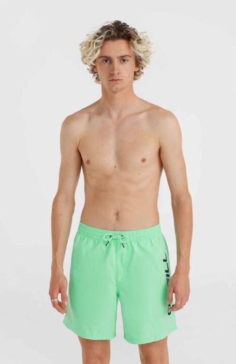 O'neill CALI 16'' SWIM SHORTS (2800152) - Bluesand New&Outlet 