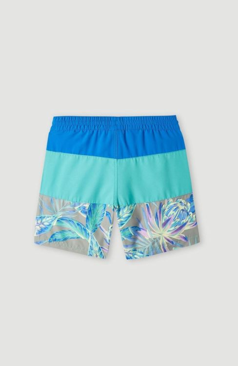 O'neill CALI BLOCK 13'' SWIM SHORTS (4800030) - Bluesand New&Outlet 