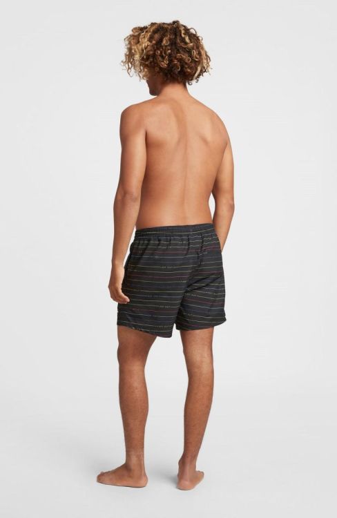 O'neill CALI FIRST 15'' SWIM SHORTS (2800087) - Bluesand New&Outlet 