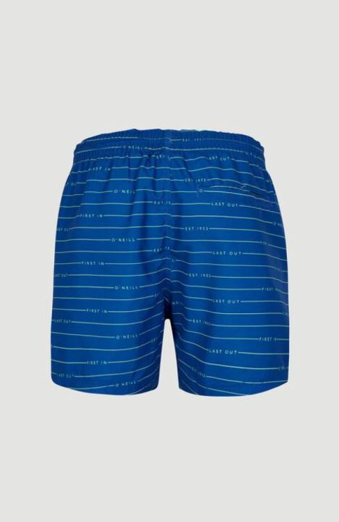 O'neill CALI FIRST 15'' SWIM SHORTS (2800087) - Bluesand New&Outlet 