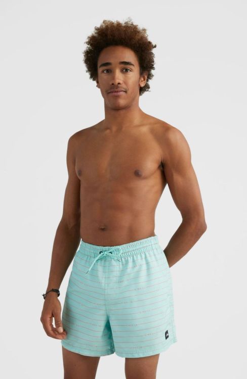 O'neill CALI FIRST 15'' SWIM SHORTS (2800087) - Bluesand New&Outlet 