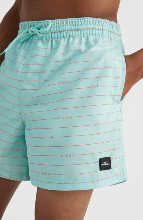 O'neill CALI FIRST 15'' SWIM SHORTS (2800087) - Bluesand New&Outlet 