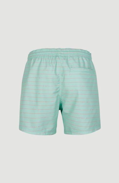 O'neill CALI FIRST 15'' SWIM SHORTS (2800087) - Bluesand New&Outlet 