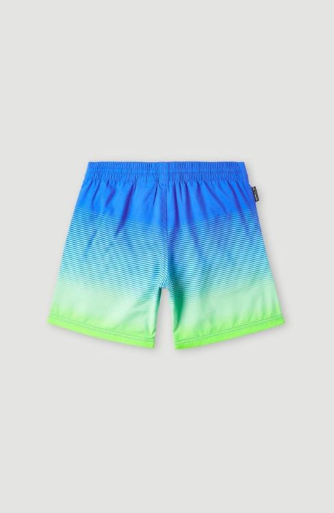 O'neill CALI GRADIENT 14'' SWIM SHORTS (4800034) - Bluesand New&Outlet 