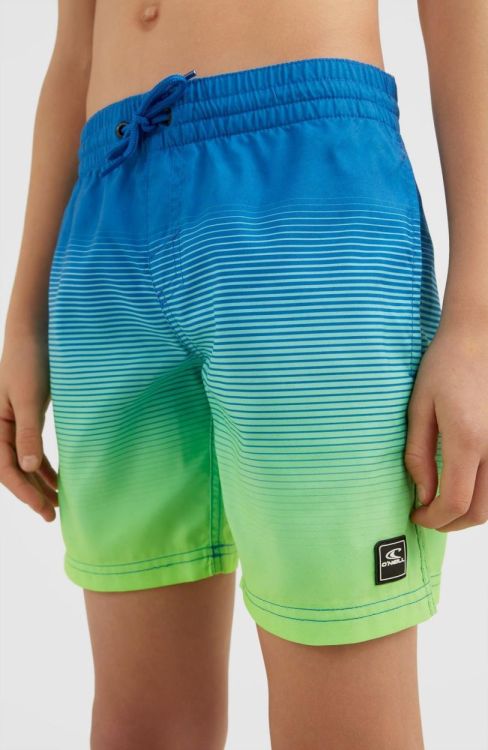 O'neill CALI GRADIENT 14'' SWIM SHORTS (4800034) - Bluesand New&Outlet 