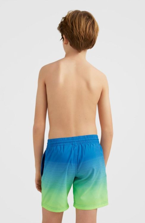 O'neill CALI GRADIENT 14'' SWIM SHORTS (4800034) - Bluesand New&Outlet 