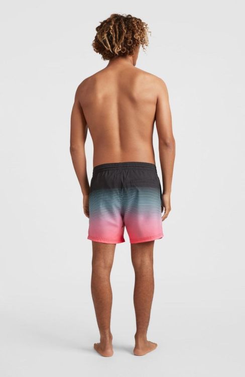 O'neill CALI GRADIENT 15'' SWIM SHORTS (2800074) - Bluesand New&Outlet 