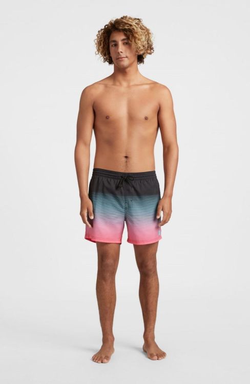 O'neill CALI GRADIENT 15'' SWIM SHORTS (2800074) - Bluesand New&Outlet 