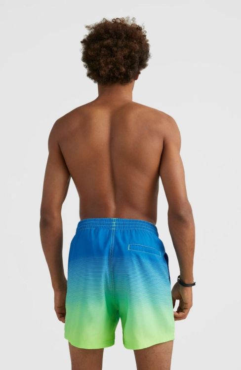 O'neill CALI GRADIENT 15'' SWIM SHORTS (2800074) - Bluesand New&Outlet 