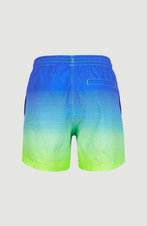 O'neill CALI GRADIENT 15'' SWIM SHORTS (2800074) - Bluesand New&Outlet 