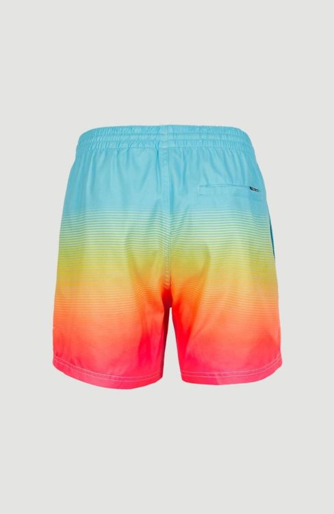 O'neill CALI GRADIENT 15'' SWIM SHORTS (2800074) - Bluesand New&Outlet 