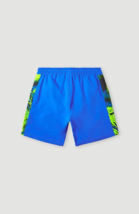 O'neill CALI PANEL 14'' SWIM SHORTS (4800031) - Bluesand New&Outlet 