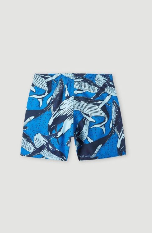 O'neill CALI PRINT 13'' SWIM SHORTS (4800029) - Bluesand New&Outlet 