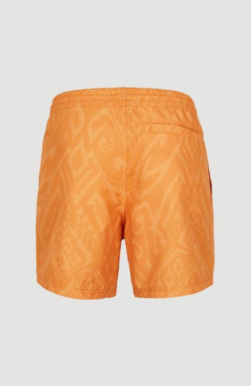 O'neill CALI BLOCK 15'' SWIM SHORTS (2800071) - Bluesand New&Outlet 